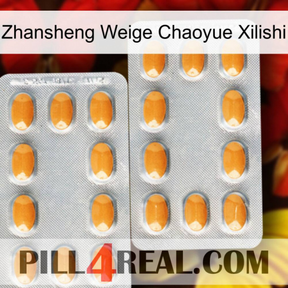 Zhansheng Weige Chaoyue Xilishi cialis4.jpg